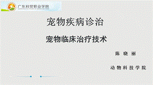 宠物疾病诊治 宠物临床治疗技术基本治疗ppt课件.pptx