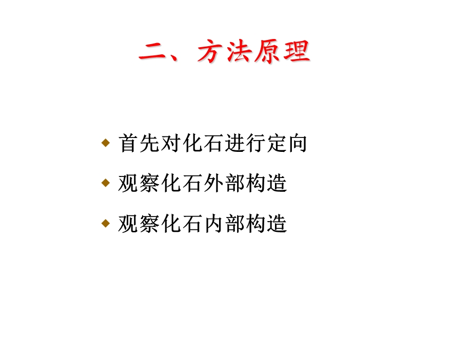 实验3 头足纲 实验ppt课件.ppt_第3页