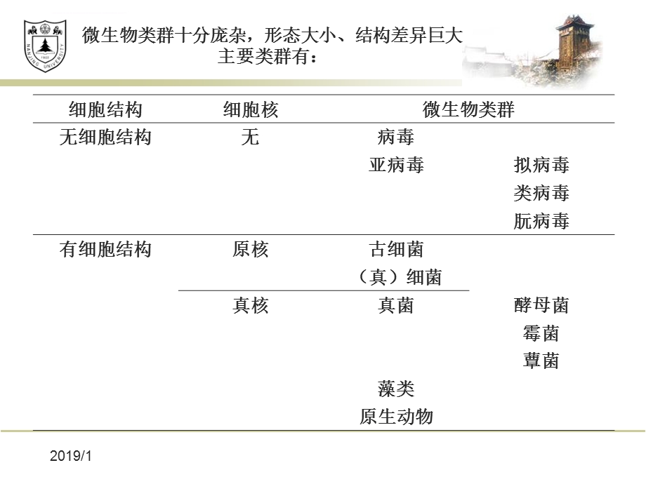 微生物学最完整经典ppt课件.ppt_第3页