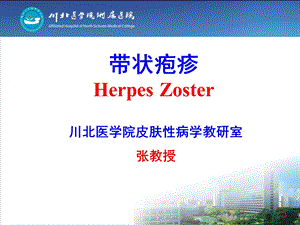 带状疱疹(教学示范精品PPT课件).ppt