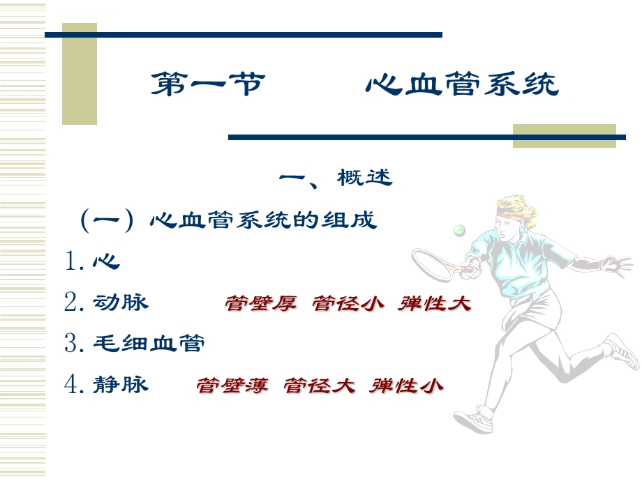 循环系统解剖ppt课件.ppt_第3页