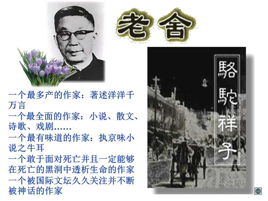 广东省东莞市厚街开贤学校八年级上语文 名著导读《骆驼祥子》ppt课件(人教版).ppt_第2页