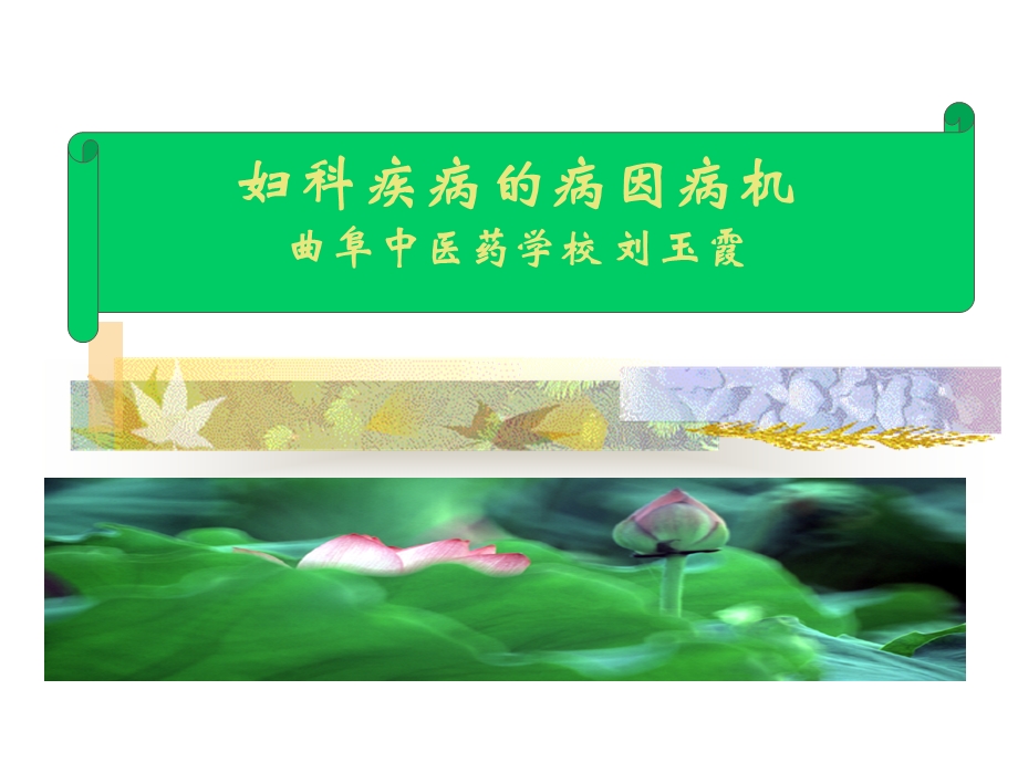 妇科疾病的病因病机ppt课件.ppt_第1页