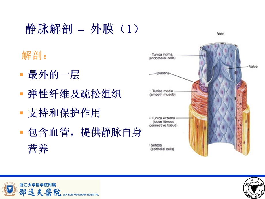 导管相关性血栓形成及处理ppt课件.pptx_第2页