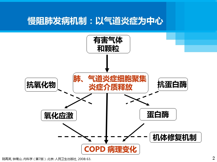 布地奈德的药理学优势ppt课件.pptx_第2页