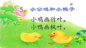 小公鸡和小鸭子ppt课件(完美版).ppt