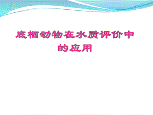 底栖动物在生物监测上的应用ppt课件.pptx