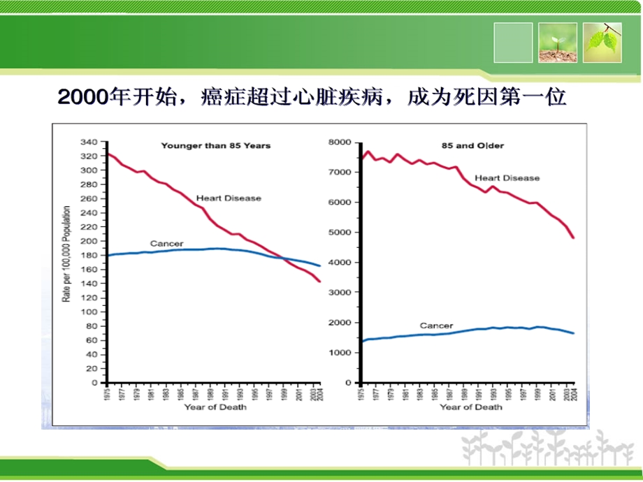 恶性肿瘤三级预防ppt课件.ppt_第2页