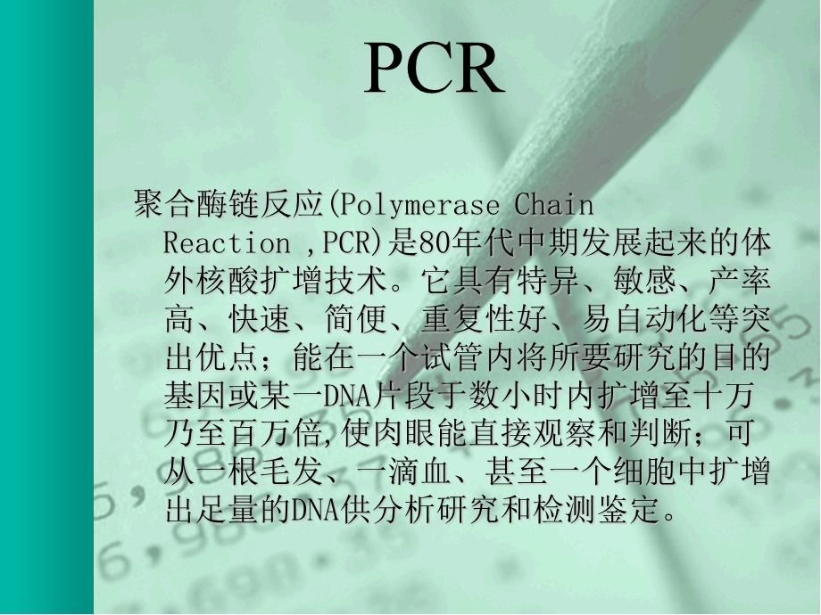 引物设计 初学者超级推荐ppt课件.ppt_第3页