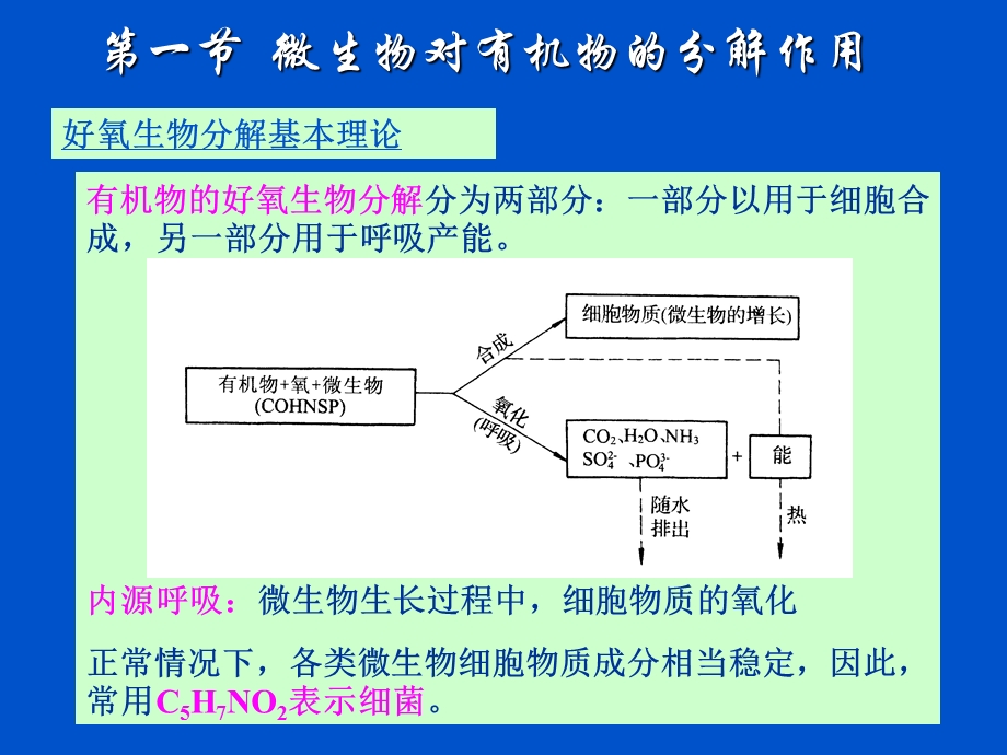 有机物(污染物)的生物转化和分解ppt课件.ppt_第3页