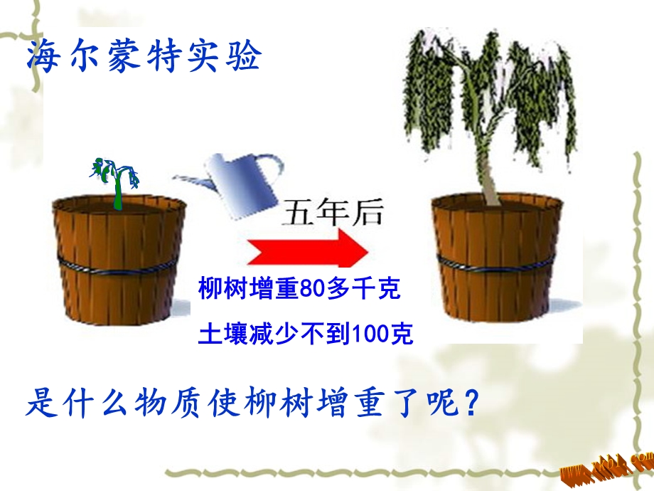 植物吸收二氧化碳释放氧气ppt课件.ppt_第3页