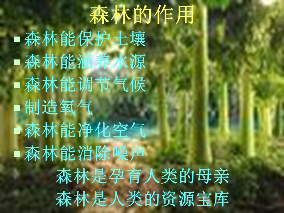 森林防火知识讲座ppt课件.ppt_第3页