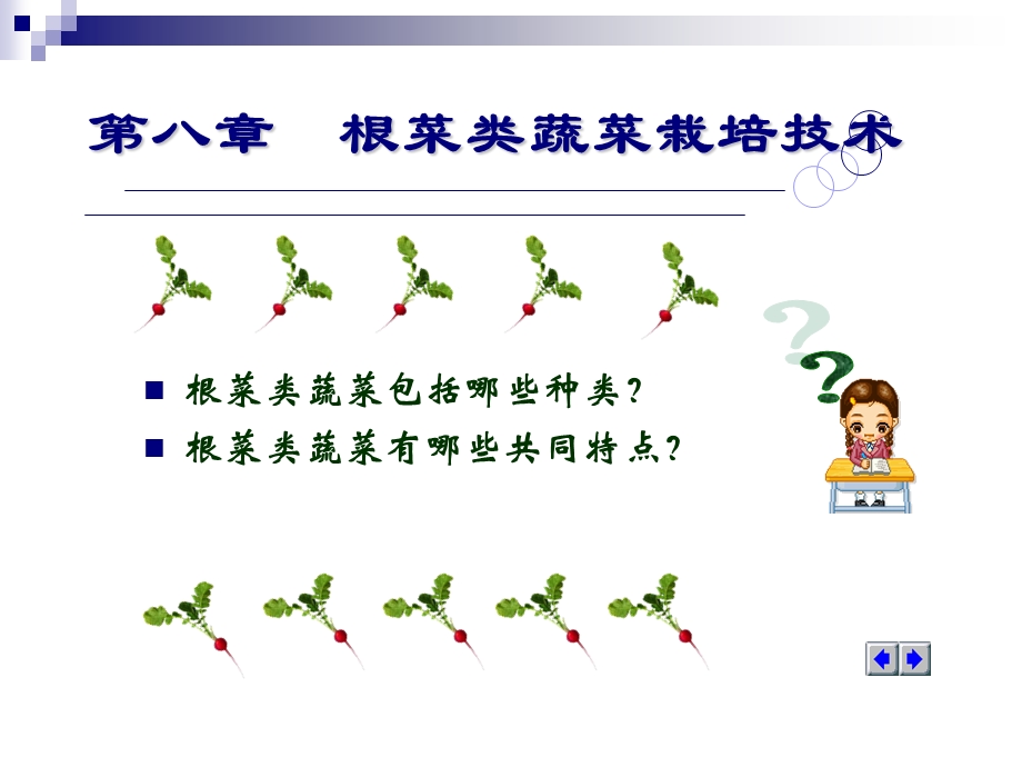 根菜类蔬菜栽培萝卜ppt课件.pptx_第2页