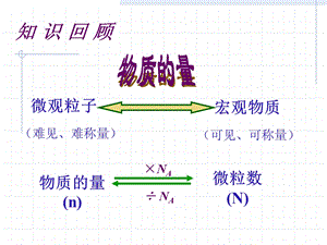 摩尔质量 ppt课件.ppt