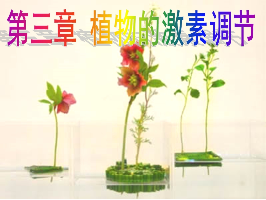 植物的激素调节一轮复习公开课ppt课件.ppt_第1页