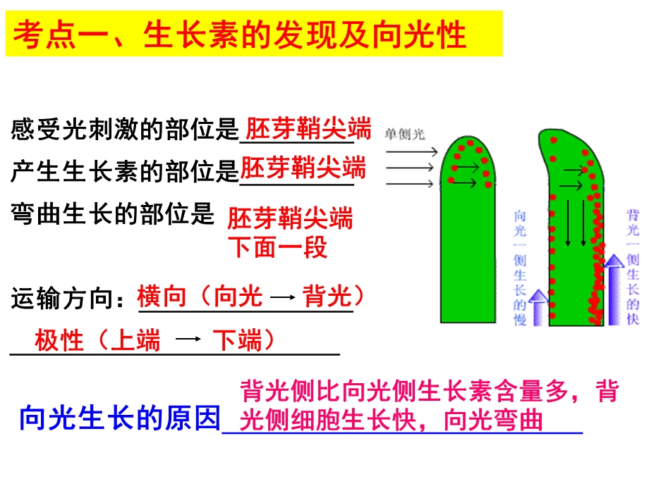 植物的激素调节一轮复习公开课ppt课件.ppt_第3页