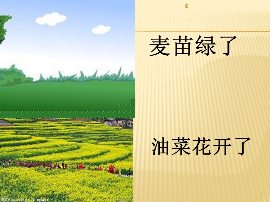 春天来了ppt课件.ppt_第3页