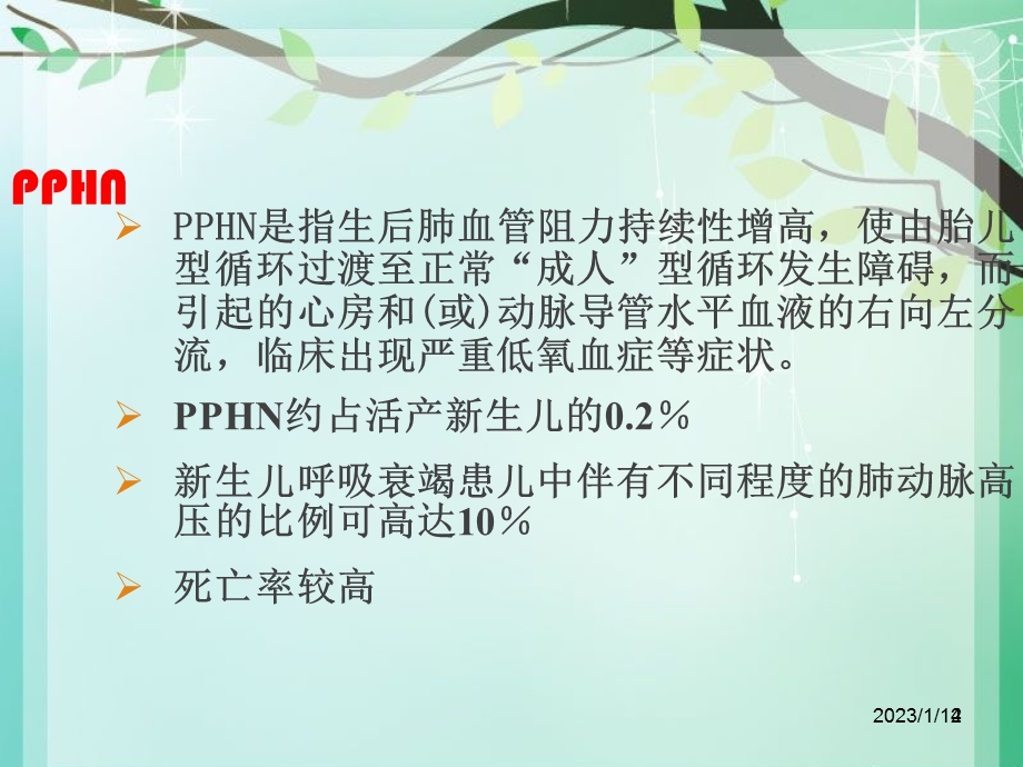 新生儿肺动脉高压诊治专家共识解读ppt课件.ppt_第2页