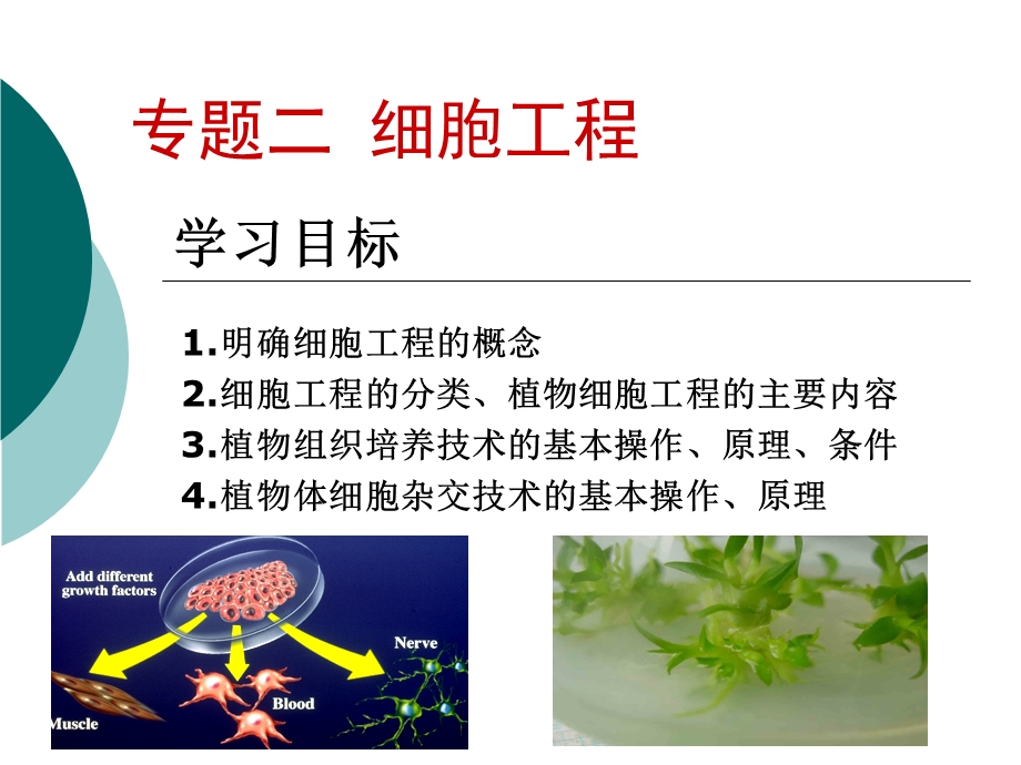 植物细胞工程ppt课件.ppt_第1页