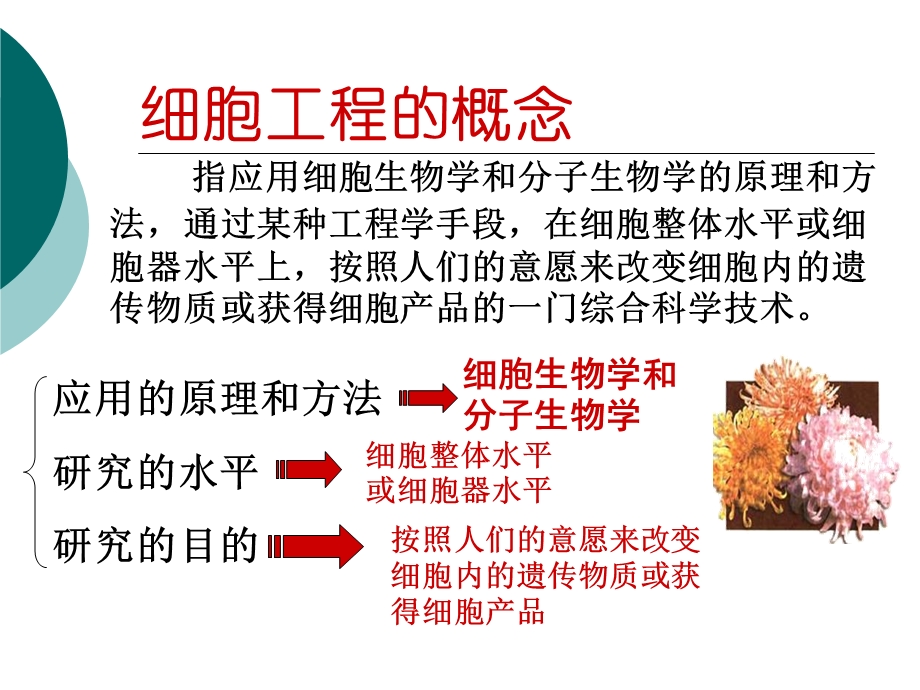 植物细胞工程ppt课件.ppt_第2页