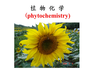 植物化学ppt课件第一章.ppt