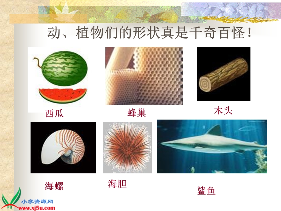 折形状上课ppt课件.ppt_第2页