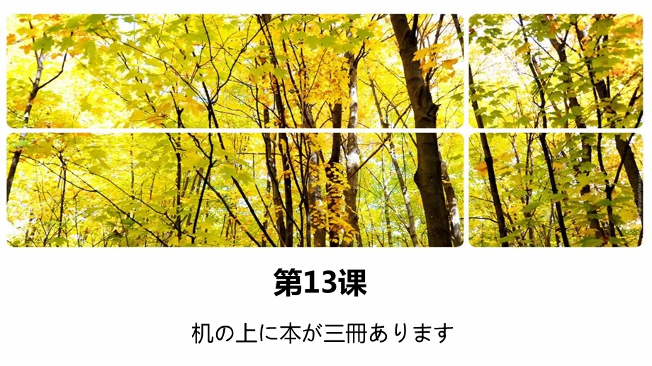 新标日初级上册ppt课件教案第13课.ppt_第1页