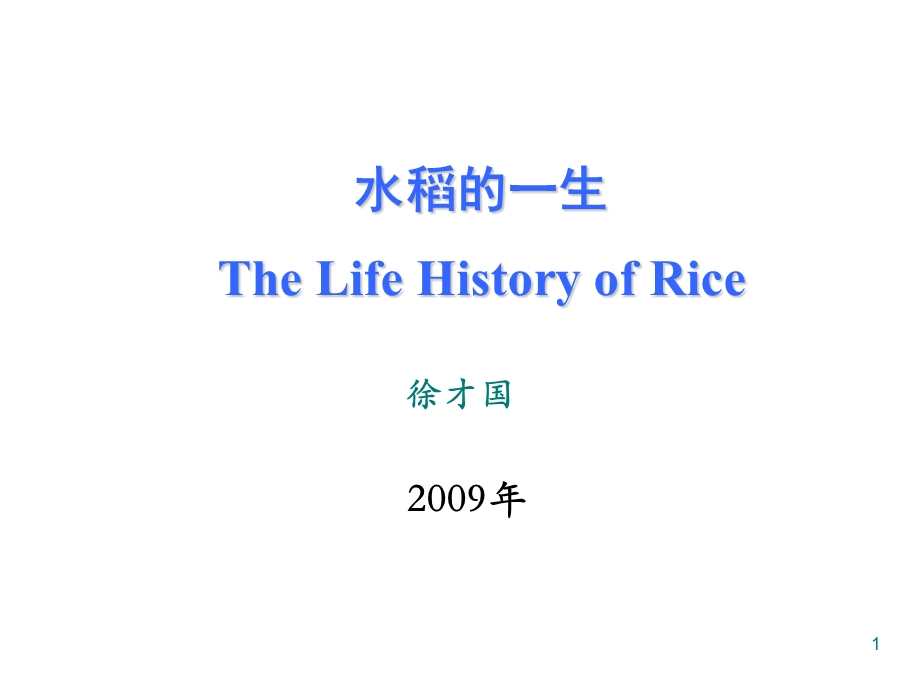 水稻的一生ppt课件.ppt_第1页