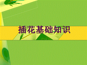 插花基础知识ppt课件.ppt