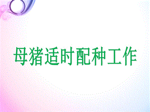 母猪适时配种ppt课件.ppt