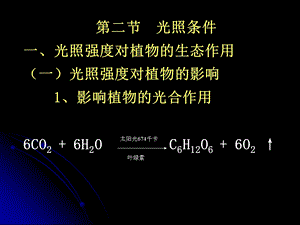 植物地理 光照条件ppt课件.ppt