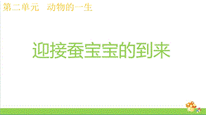 新教科版三年级下科学2.1迎接蚕宝宝的到来ppt课件.pptx