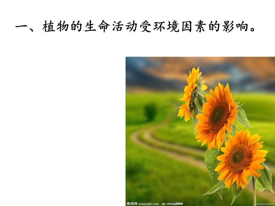 植物生命活动的调节(浙科版)ppt课件.ppt_第2页