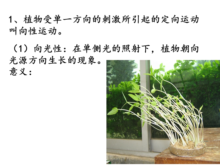 植物生命活动的调节(浙科版)ppt课件.ppt_第3页