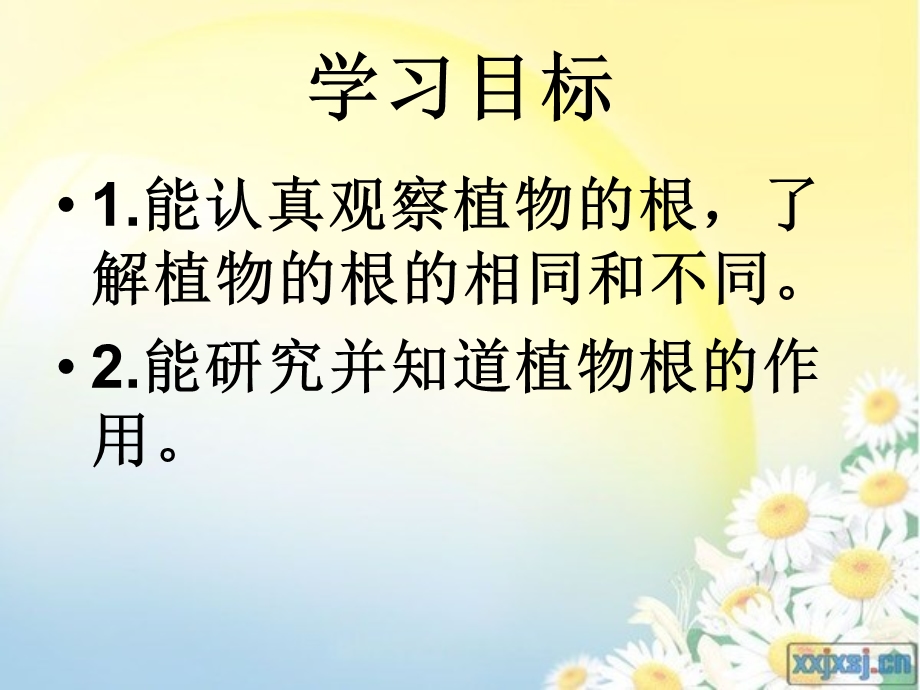 植物的根ppt课件.ppt_第2页