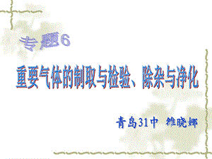 新课标鲁教版初中化学专题6《重要气体的制取与检验、除杂与净化》精品ppt课件.ppt