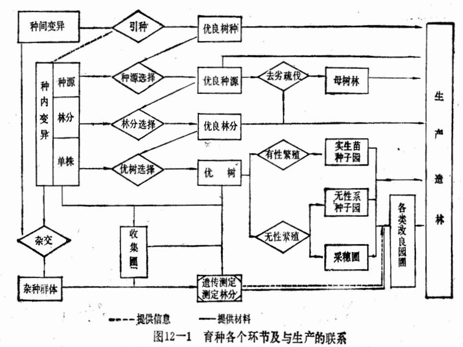 林木育种策略和多世代育种ppt课件.ppt_第3页