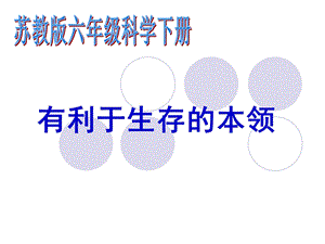 有利于生存的本领ppt课件.ppt