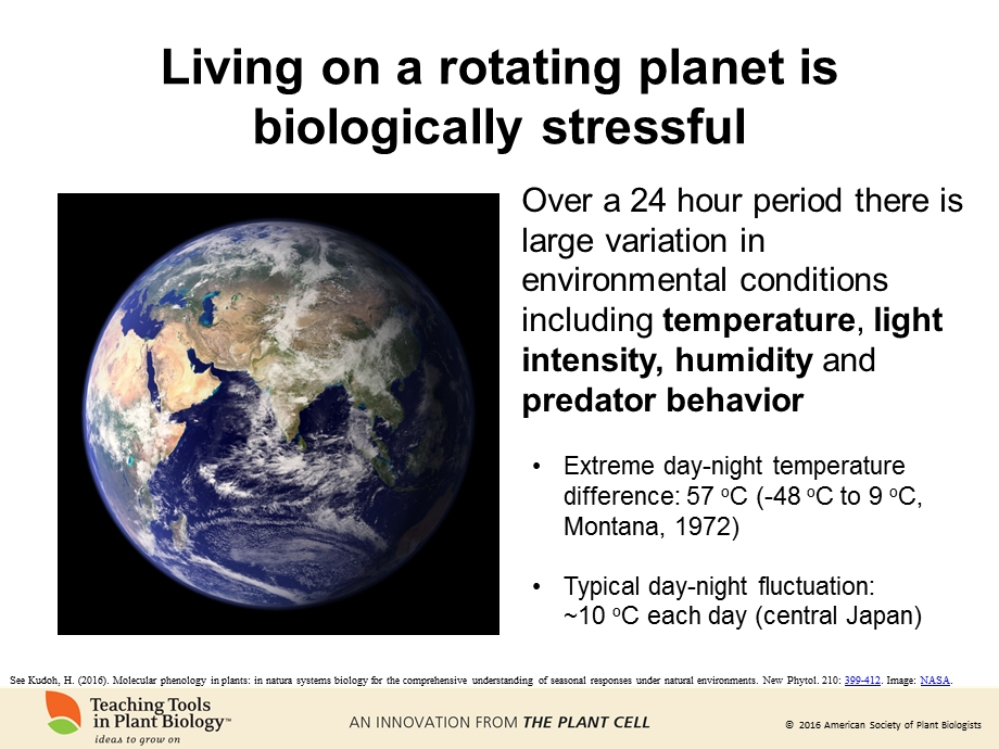 植物生物钟ppt课件.ppt_第2页