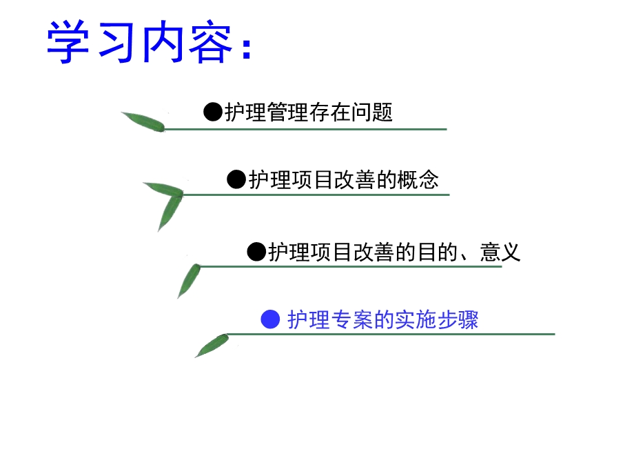 护理专项改善ppt课件.ppt_第2页