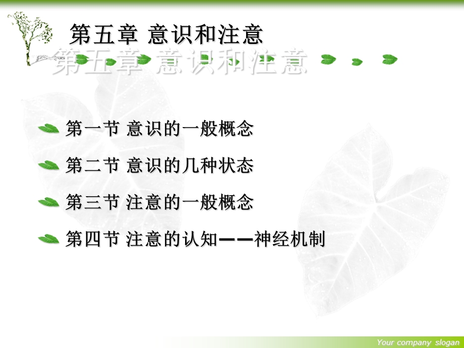 普通心理学 第5章 意识和注意(新)ppt课件.ppt_第3页