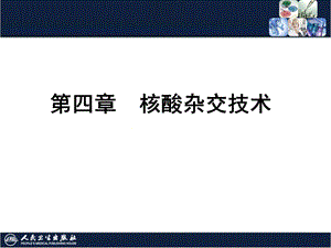 核酸杂交技术ppt课件.ppt