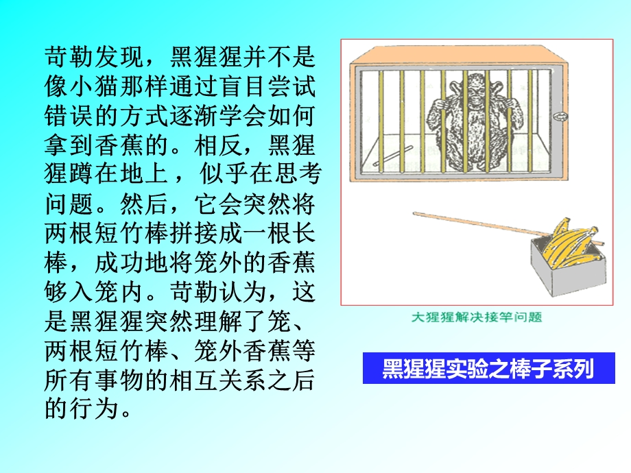 格式塔学习理论ppt课件.ppt_第3页