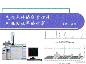 气相色谱定量方法及加标回收率的计算ppt课件.ppt