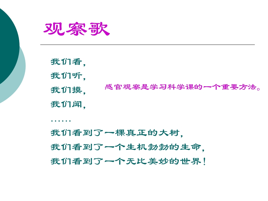 植物的生长变化ppt课件.ppt_第2页