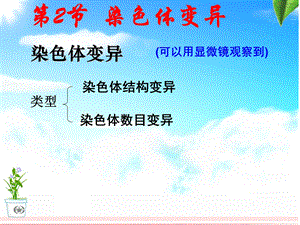 染色体变异(公开课)ppt课件.ppt