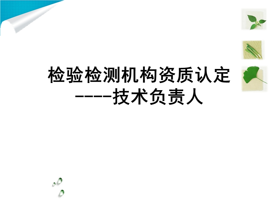 检验检测机构资质认定技术负责人ppt课件.pptx_第1页