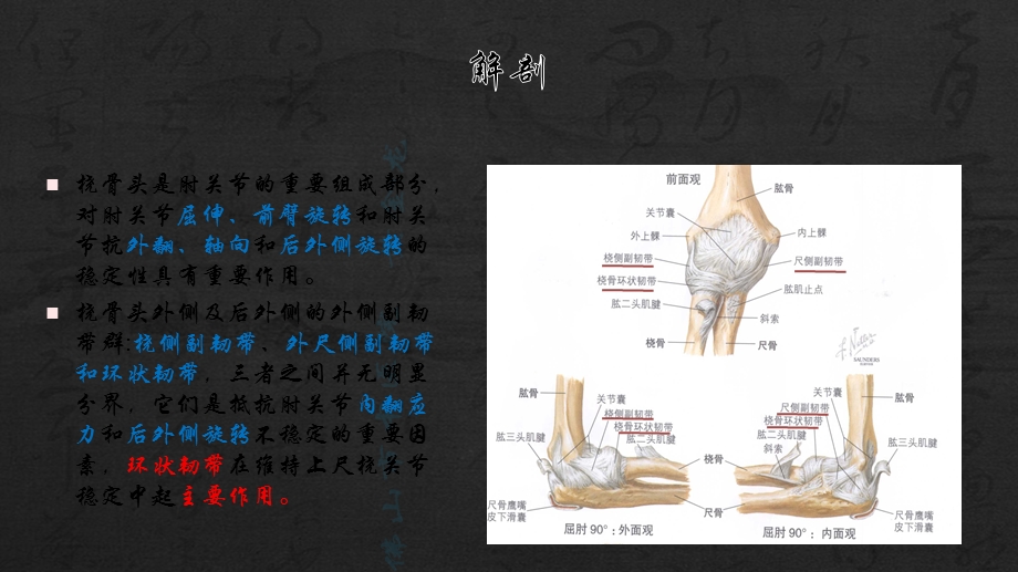 桡骨头骨折的诊疗ppt课件.pptx_第3页