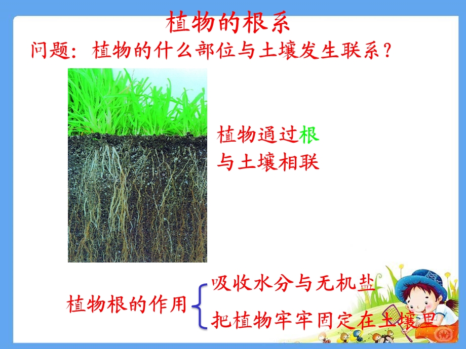 植物与土壤ppt课件.ppt_第3页