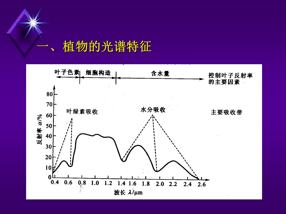 植被遥感光谱分析ppt课件.ppt_第3页